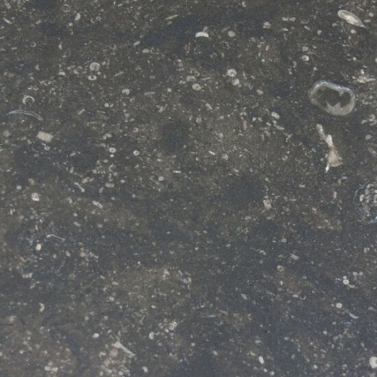 Pierre Blue Limestone