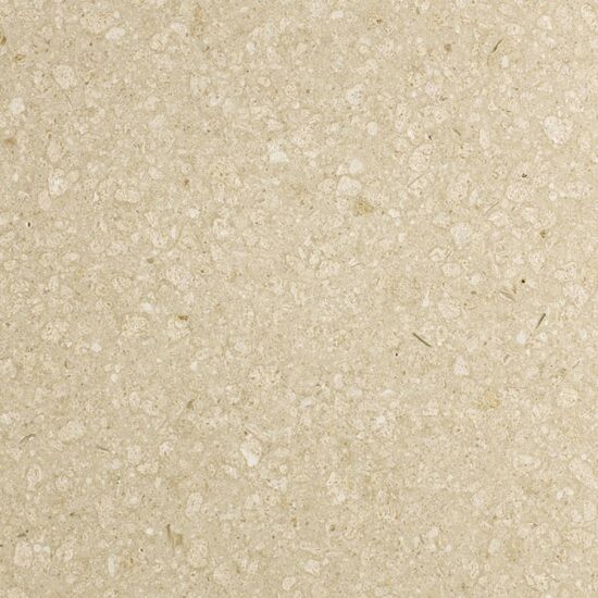 a close-up photo of Terrazzo Pietra Crema Agglotech B500