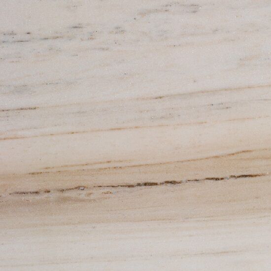a close-up photo of Palissandro Bronzetto Marble