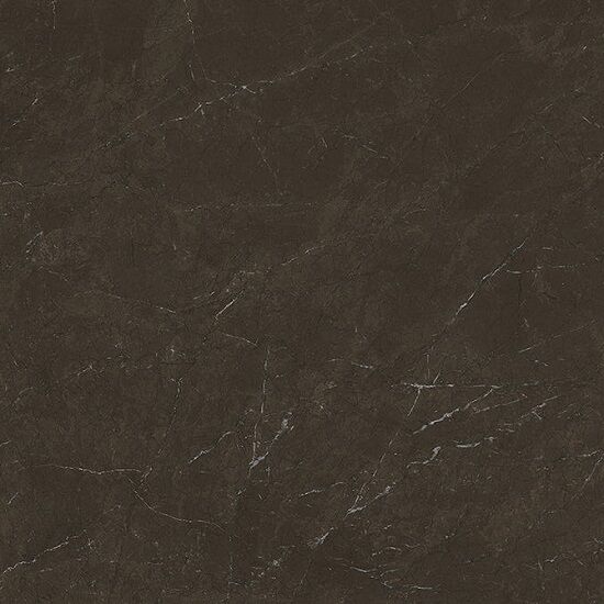 a close-up photo of Olive Brown marble
